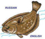 деловой английский